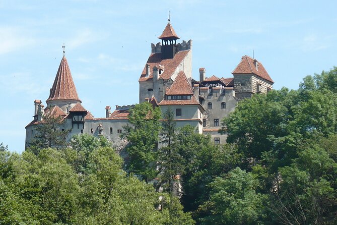 Bran Castle With Optional Bear Sanctuary From Brasov - Customer Reviews and Feedback