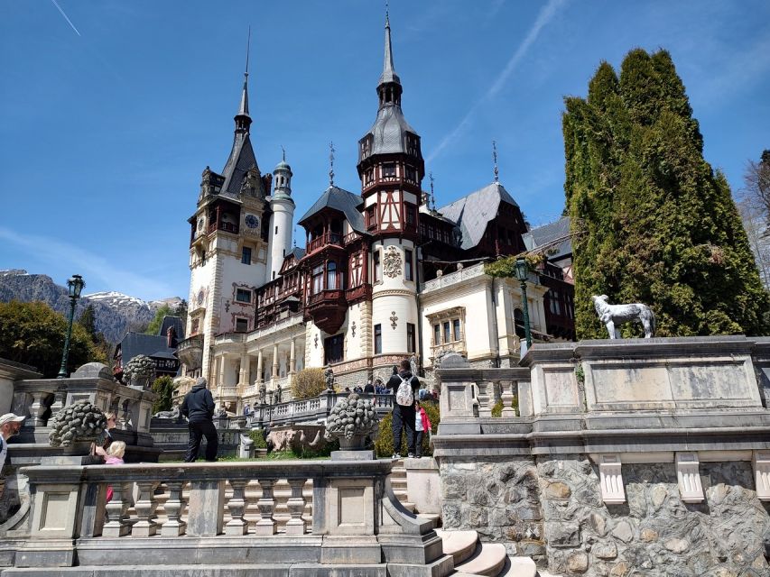 Brasov: Bran, Peles and Cantacuzino Castles Day Tour - Inclusions