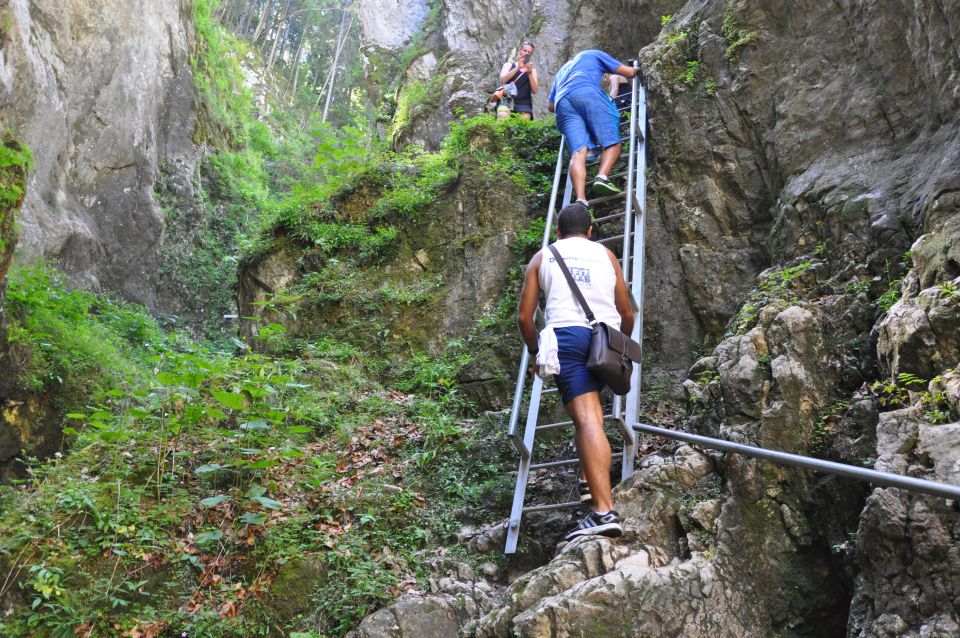 Brasov: Small-Group 7 Ladders Canyon Day Trip - Participant Information