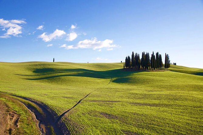 Brunello and Nobile, Wine Lover Tour Montalcino and Montepulciano - Customized Tasting Experience