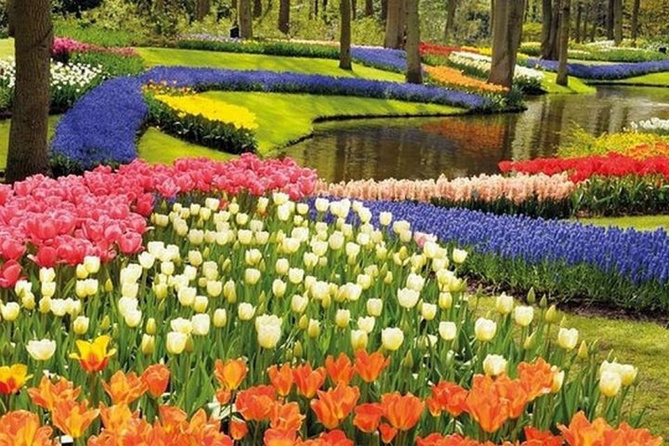 Brussels: Keukenhof, Tulips, and Delft Day Trip - Explore Elf