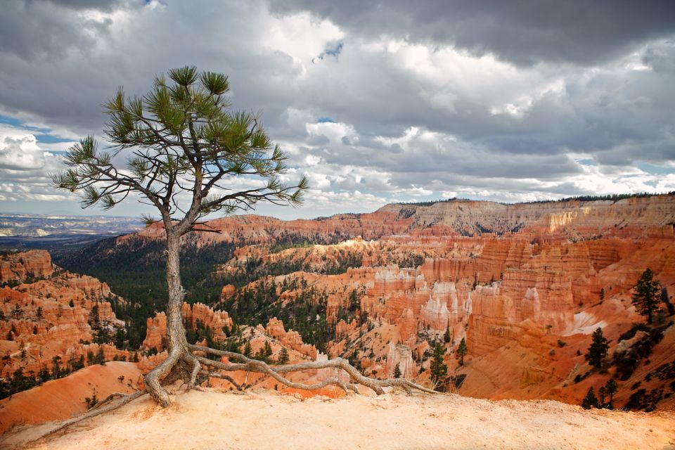 Bryce Canyon National Park: Guided ATV/RZR Tour - Clothing and Preparation