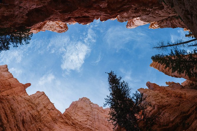 Bryce Canyon & Zion National Parks From Vegas, Lunch, Free Wifi - Customer Feedback