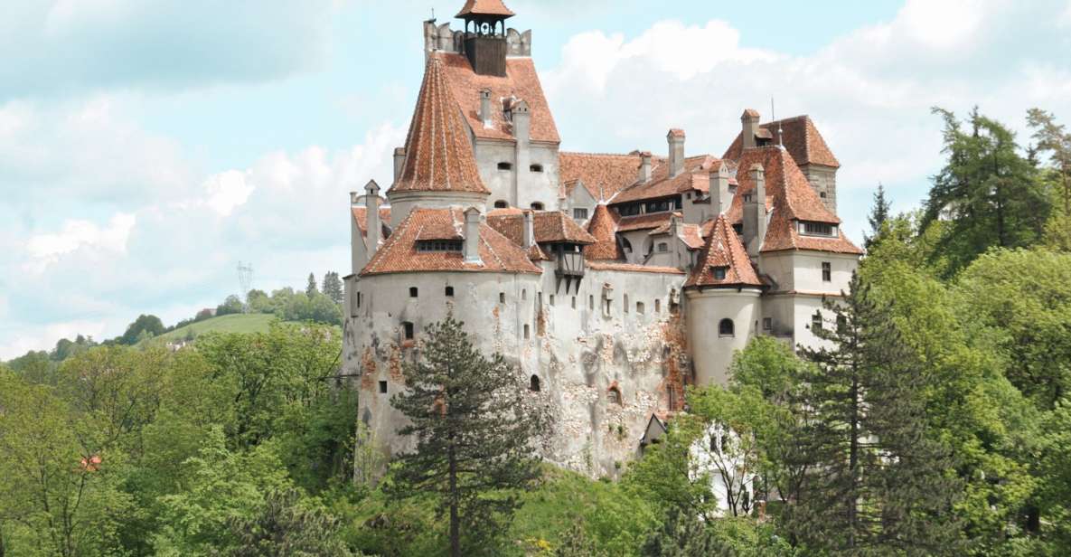 Bucharest: Dracula's Castle, Peles Castle & Brasov Day Trip - Inclusions and Exclusions