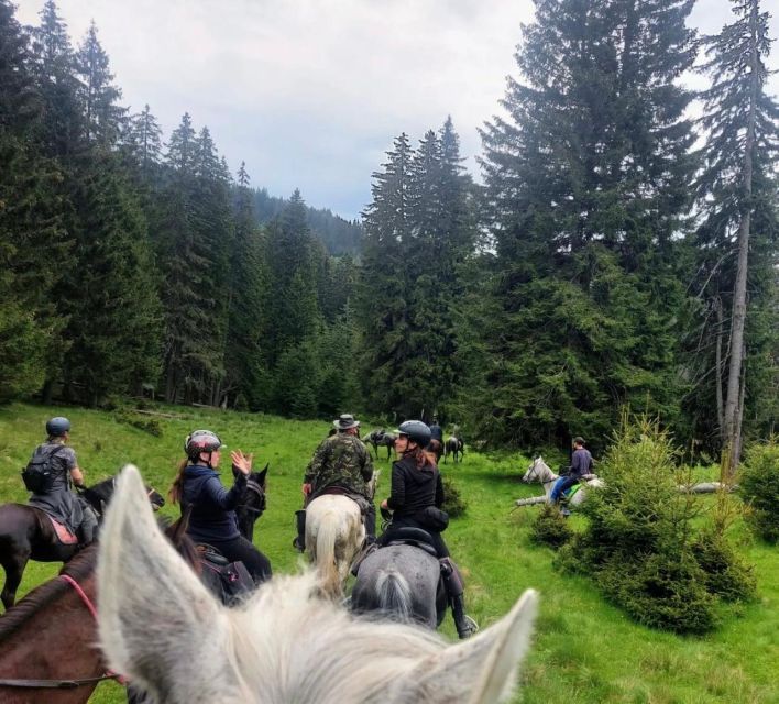 Bucharest: Horseback In the Nature and Traditional Lunch - Participant Information and Restrictions