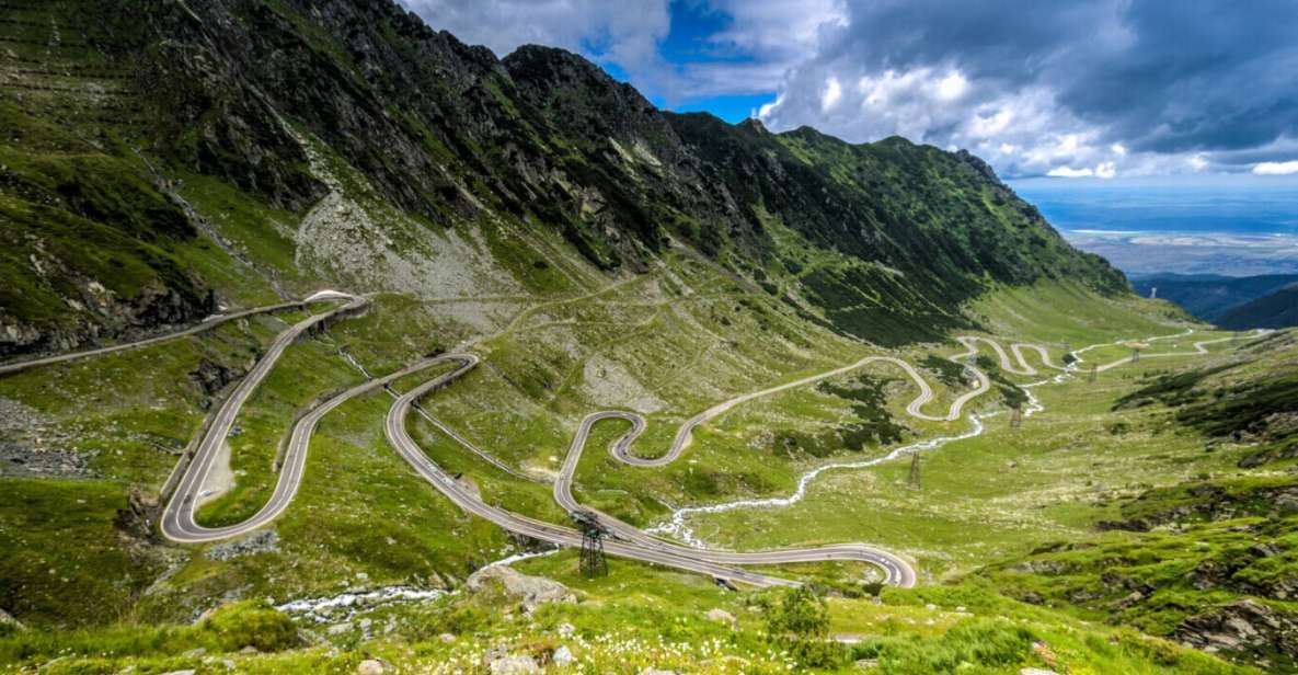 Bucharest: Transfagarasan and Wild Brown Bears Private Tour - Inclusions