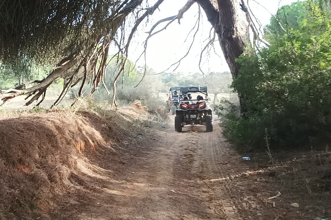 Buggy Adventure - 2 Hours Off-Road Guided Tour From Albufeira - Customer Reviews