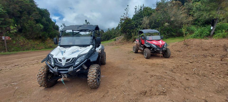 Buggy Off-Road Madeira - Restrictions