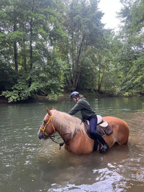 Burgundy: Horse Riding Tour in Chablis - Packages and Pricing