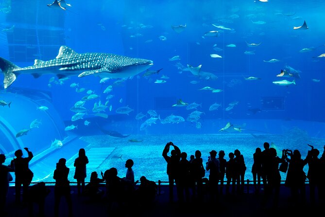 Burj Khalifa, Dubai Aquarium and Underwater Zoo Combo Tickets - Explore at Your Own Pace