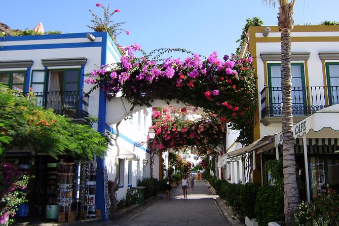 Bus to the Local Market of Puerto De Mogan - Tour Schedule and Pricing