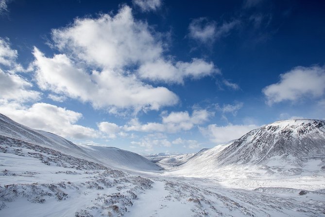 Cairngorms & Whisky Day Tour From Inverness Including Admission - Meeting and Pickup