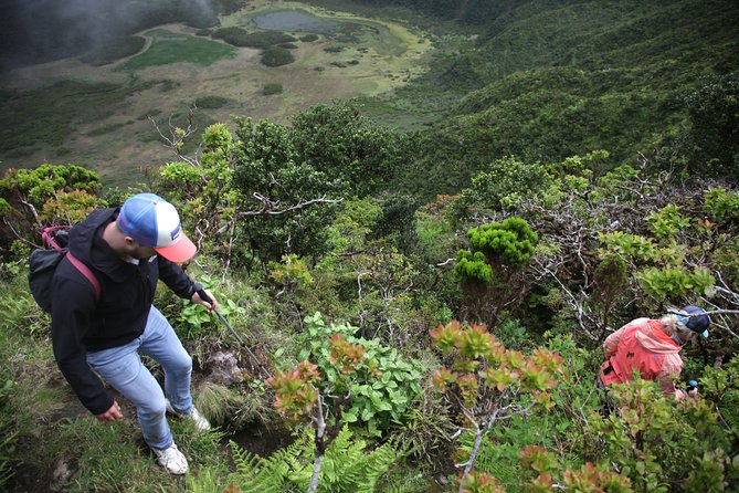 Caldeira Do Faial Descent - Private Hiking Tour - Reviews