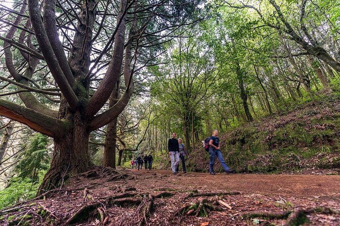 Calderão Verde Levadas Walk in Madeira - Moderate Physical Fitness Required for Tour