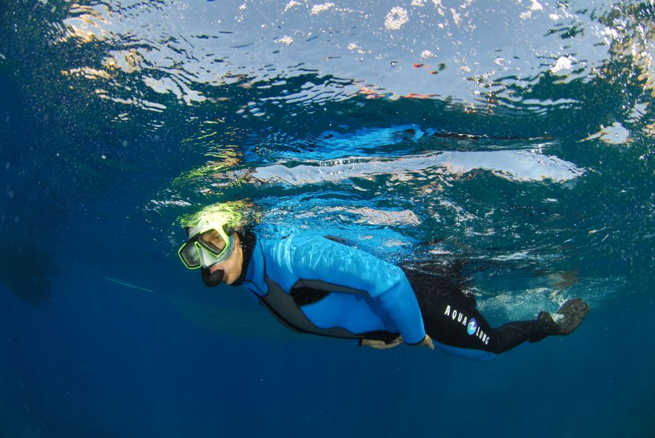 Calvi: Pointe De La Revellata Snorkeling Boat Tour - Swimming Ability Required