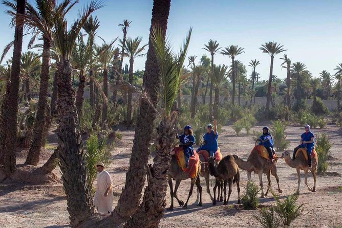 Camel Ride in the Palmeraie of Marrakech - Inclusions and Amenities