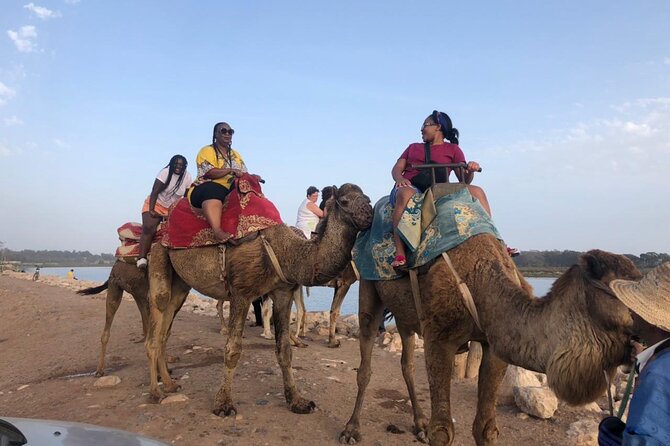 Camel Riding Agadir - Accessibility and Inclusivity