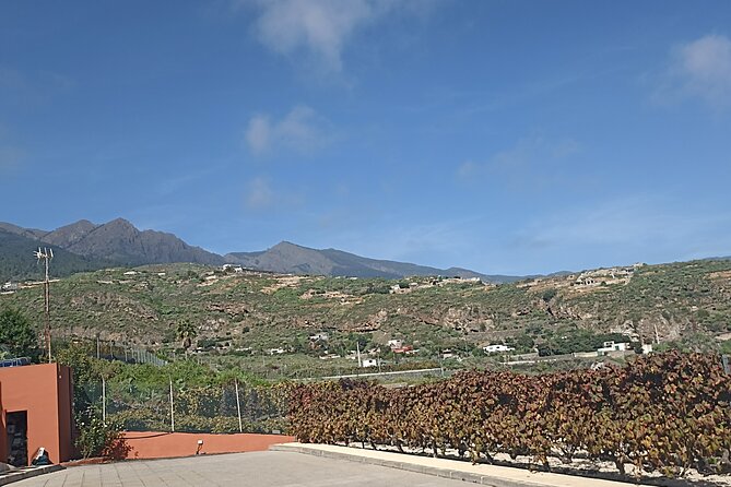 Canarian Wine Tasting Private Full-Day Tour and Aloe Vera Farm - Tour Details