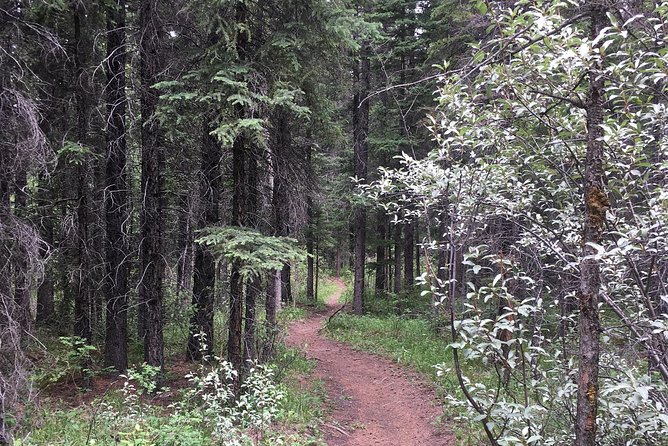 Canmore: Cowboys and Coal Miners - Local History Tour (1.5hrs) - Exploring Local Trails and Wildlife