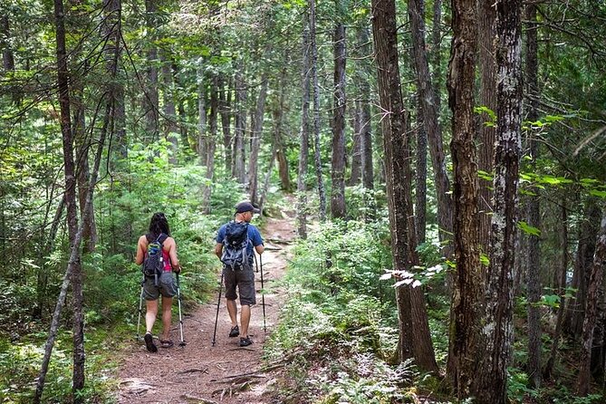 Canoe-Hike Day With Departure From Montreal - Capturing Memories