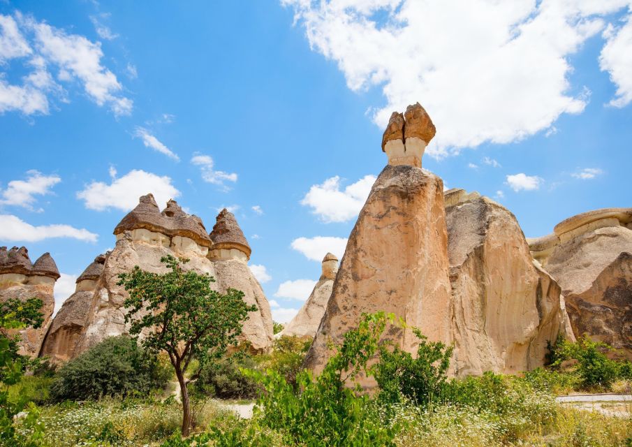 Cappadocia: Highlights of Cappadocia With Japanese Guide - Goreme Open-Air Museum