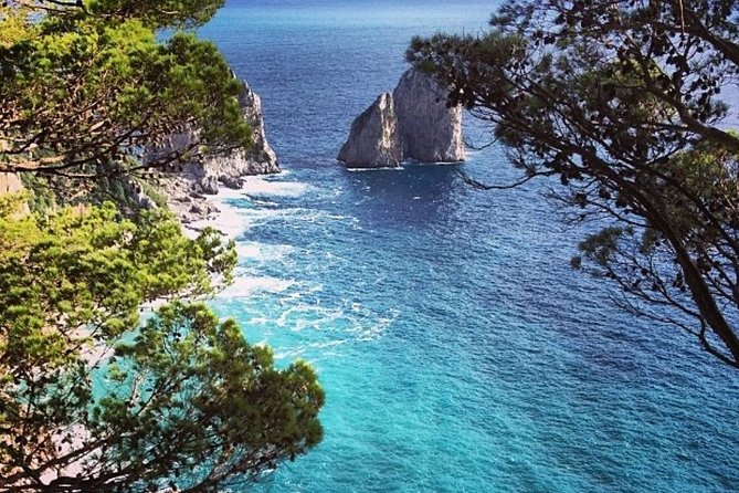 Capri and Blue Grotto Private Tour From Naples or Sorrento - Price and Booking