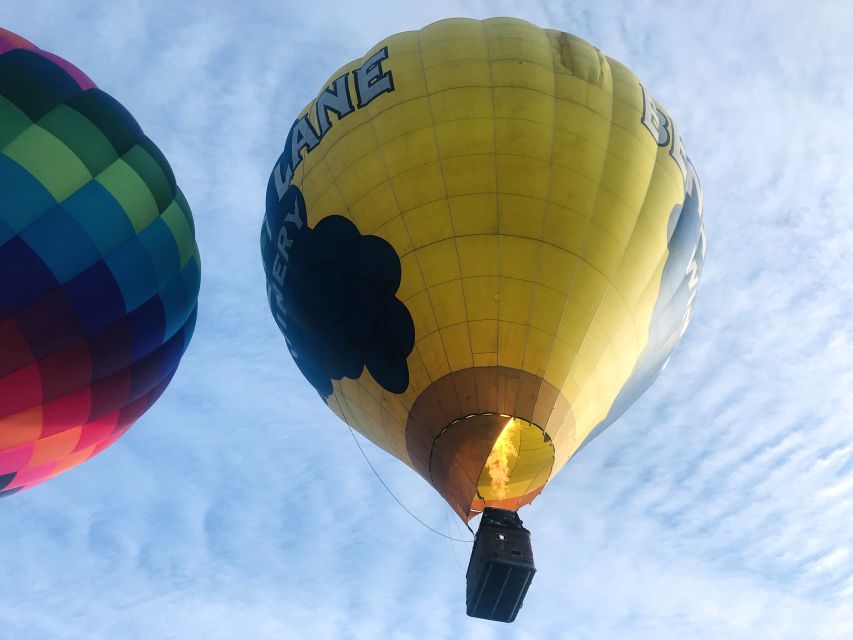 Carson City: Hot Air Balloon Flight - Restrictions and Requirements