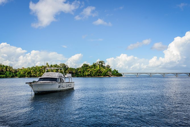 Cascada Limon and Cayo Levantado From La Romana - Transportation and Logistics