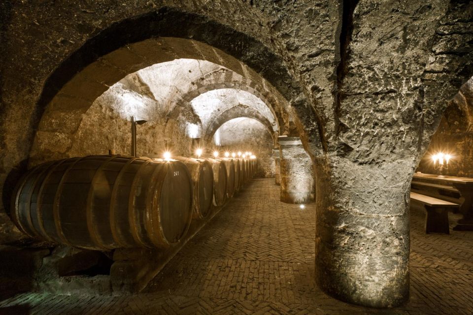 Cellar Discovery Tour Oldest Wine Cellar in Germany - How to Get There