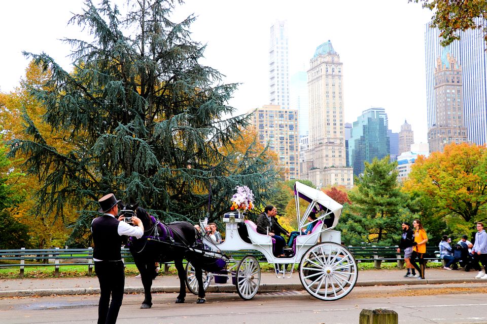 Central Park: Short Horse Carriage Ride (Up to 4 Adults) - Carriage Ride Inclusions