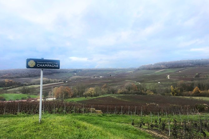 Champagne Area Small-Group Tour Including a Top Champagne House & Family Winery - Champagne Tastings at Houses