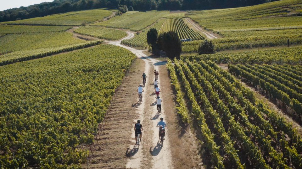 Champagne Region : Ebike Tour With a Local Guide ! - Everyday Life of a Wine-Grower