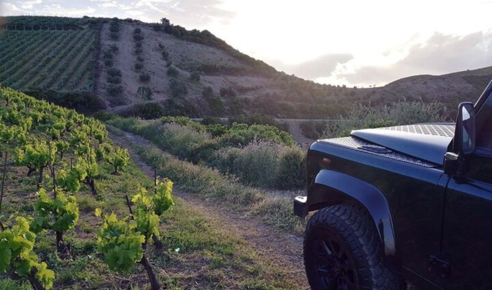 Chania Luxury Jeep Safaris: Wine & Olive Oil Tasting Secrets - Wine Tasting at Winery of Karavitakis