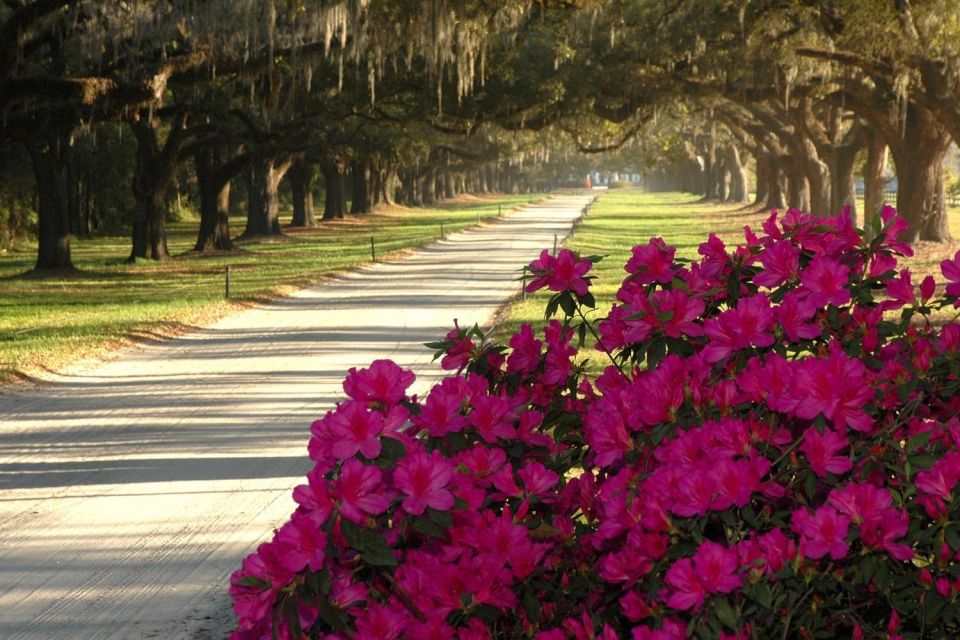 Charleston: Boone Hall & Historic City Tour Combo - Charleston City Tour