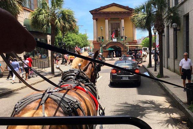 Charleston's Old South Carriage Historic Horse & Carriage Tour - Horse-Drawn Carriage Authenticity