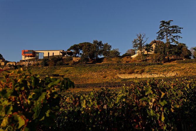 Château LA CROIZILLE Grand Cru Classé: Picnic & Visit - Group Size and Composition