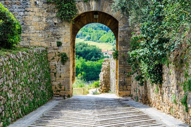 Chianti Half Day Wine Tour From Florence - Tasting Experience