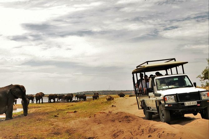 Chobe Extended Day Trip From Victoria Falls - Zimbabwe - Booking Requirements