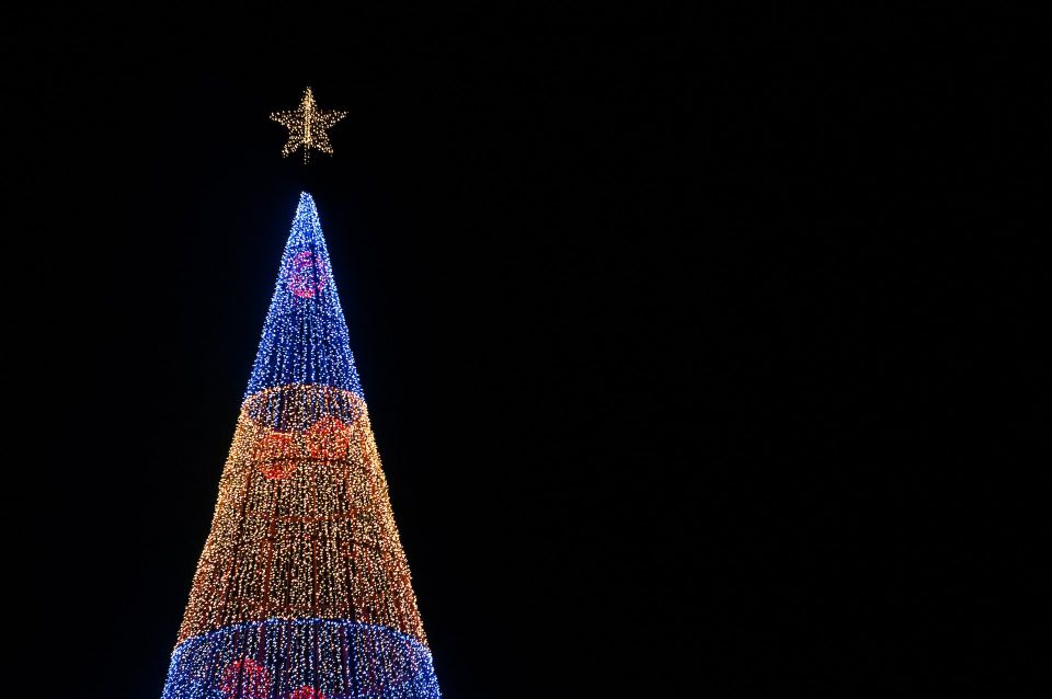 Christmas Lights in Funchal Tuk Tuk Tour - Explore Funchals Christmas Magic