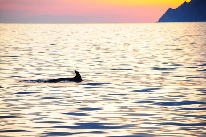 Cinque Terre Sunset Cruise With Aperitif - Customer Feedback Highlights