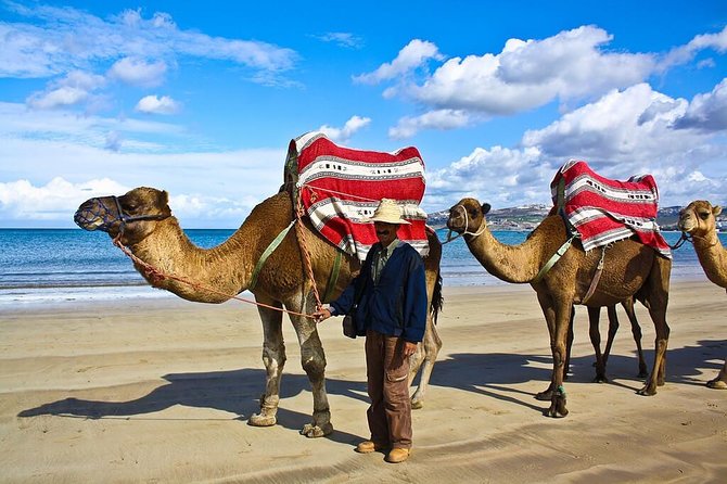 City Break Tangier for Cruisers - The American Legation in Tangier