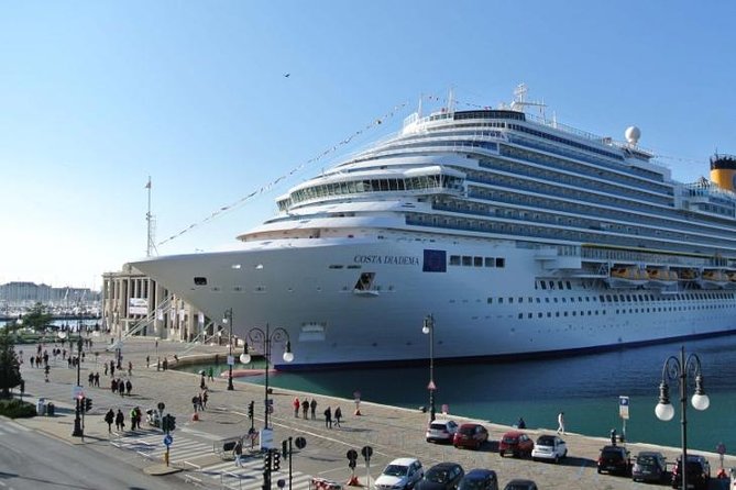 Civitavecchia Cruise Ship Port to Rome Hotel Private Transfer - Service Animals Accommodated