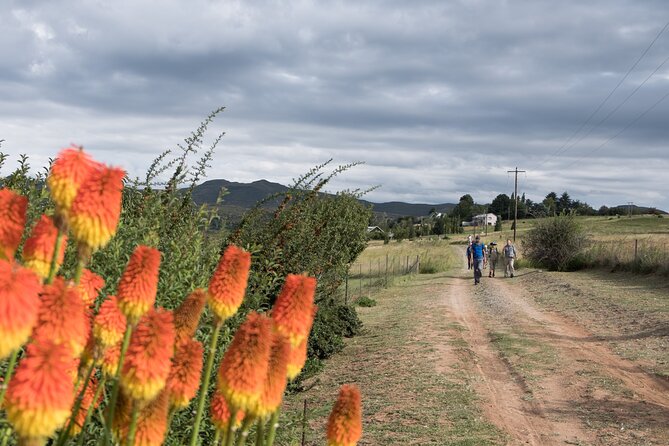 Clarens San-traverse Slackpack - Additional Information