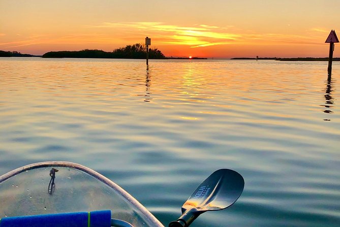 Clear Kayak Tour of Shell Key Preserve and Tampa Bay Area - Safety and Accessibility Information