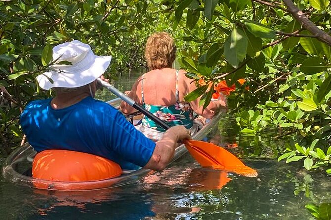 Clear Kayak Tour - Booking and Availability