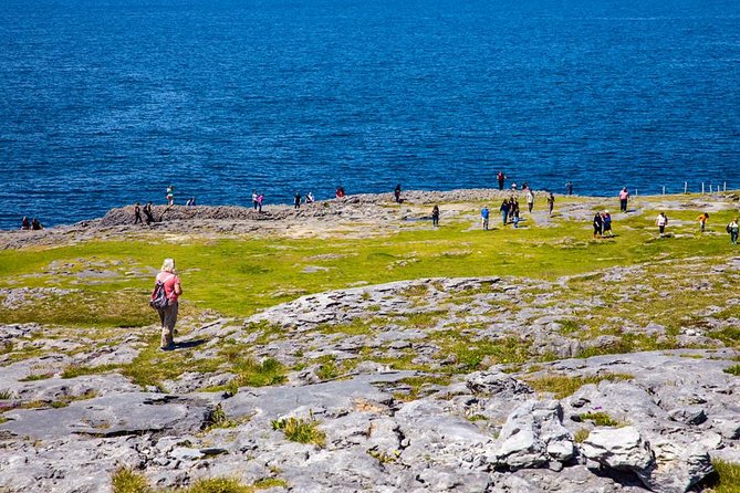 Cliffs of Moher, Boat Cruise & Aillwee Cave Day Tour From Dublin - Cliffs of Moher Clifftop Walk