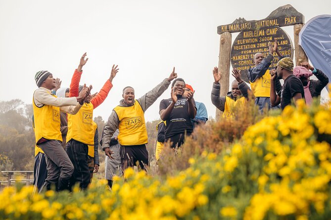 Climbing Kilimanjaro Through 7 Days Machame Route - Meeting and Pickup Details