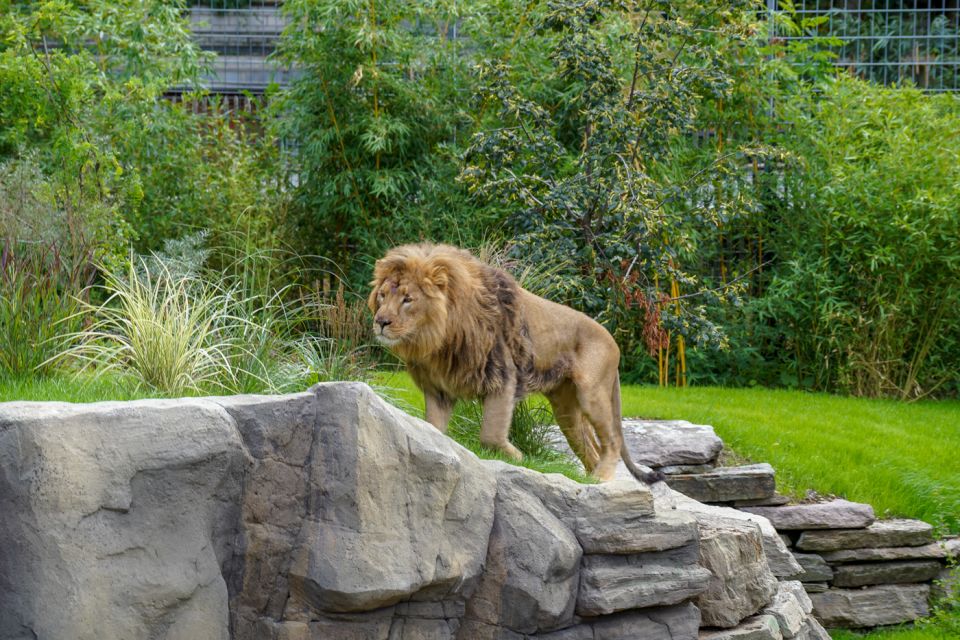 Cologne: Cologne Zoo and Aquarium Entry Ticket - Location and Accessibility