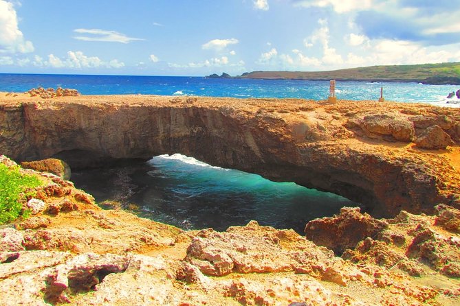 Colorful Beach Bus Sightseeing Tour of Aruba - Booking Requirements