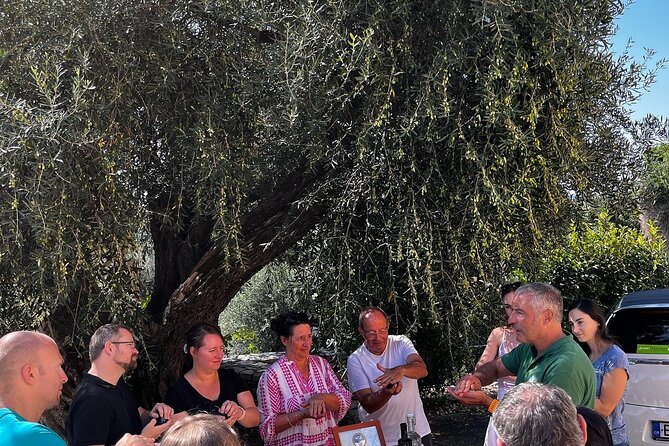 Cooking Classes and Olive Oil Tasting. the Real Taste of Greece! - Shopping at the Local Market